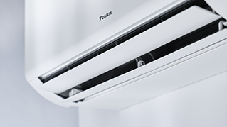 FTXM-A_Details_05.tif