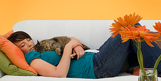 5046998.jpg 5046998.jpg